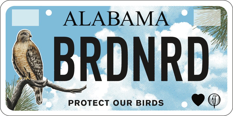 Audubon license tag